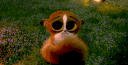 emoji_163 animated Discord emote - stuff and things for Grim server