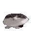269_bouncy animated Discord emote from M2 Community Server