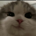 :emoji_42: