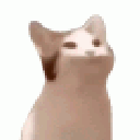 :CatPop6: