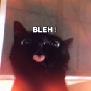 A black cat looking at the camera with its tongue sticking out and the text BLEH! above its head.