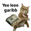 A brown cat holding a thick stack of cash with the text Yee leee garibb above it.