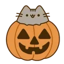 pusheenpumpkin Discord sticker from ˚◞♡ ᴇᴛʜᴇʀᴇᴀʟ ᴀᴄᴀᴅᴇᴍʏ .ᐟ 🎃