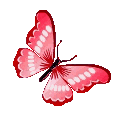 RedButterfly animated emote from ˚◞♡ ᴇᴛʜᴇʀᴇᴀʟ ᴀᴄᴀᴅᴇᴍʏ .ᐟ 🎃