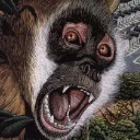 monkito