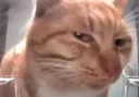 __