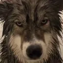 angywolf