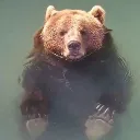 sillybear