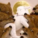 lamb