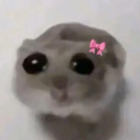 plz