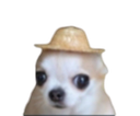 perroimpaktado35 custom emote - Pheromone oasis