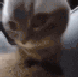 :5669chipichapa:
