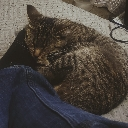 Snuggle_Buddy_Cleopatra Discord Emoji - † 𝔢𝔪𝔬 𝔢𝔱𝔥𝔦𝔠𝔰 ~ 𝓒𝓱𝓪𝓽 𝓸𝓻 𝓓𝓪𝓽𝓮🥀