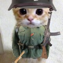 soildercat custom emote from ✪ Community’s