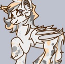 A white and gray spotted pegasus pony with orange accents standing and looking forward with a gentle smile.