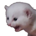 catscrem Discord sticker - † 𝑅𝑜𝑡𝑡𝑒𝑛 𝐶𝑜𝑓𝑓𝑖𝑛 †