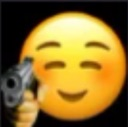 emoji custom emote - 𝐃𝐙 𝐄𝐌𝐏𝐈𝐑𝐄  🇩🇿