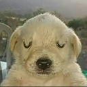 :emoji_81: