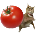 tomatocat custom emote | The Everglades of Elyrium