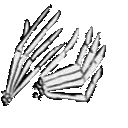 skeleton_clap