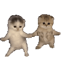 kittydance animated GIF emoji from ༉‧₊˚.𝒩𝒶𝓉'𝓈 𝑒𝓂𝑜𝒿𝒾𝓈 + 𝓈𝓉𝒾𝒸𝓀𝑒𝓇𝓈༉‧₊˚.