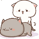 A white cat playfully taps a gray cat on the back repeatedly.