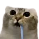 huargh Discord Emoji - CryptCraft