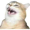 emoji Discord sticker from † 𝑅𝑜𝑡𝑡𝑒𝑛 𝐶𝑜𝑓𝑓𝑖𝑛 †