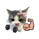 gymboy Discord Emoji | † 𝑅𝑜𝑡𝑡𝑒𝑛 𝐶𝑜𝑓𝑓𝑖𝑛 †