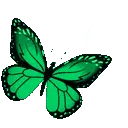 mintsparklybutterfly