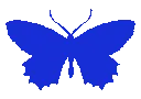 butterfly3