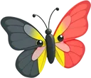 belgiumbutterfly