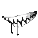bite