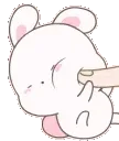 cnc_bunny_poke