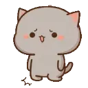 cute_c_fall