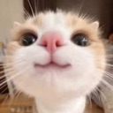 :cute: