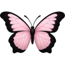 A butterfly with pink wings and black borders centered on a dark background.