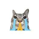 maafkrdo Discord sticker from 🍇Plum Mc