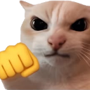 M_angry_cat custom emote | chillin duckies