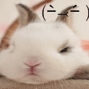 bunyc5 custom emote from ╰ ხαხι ხυnnιεs
