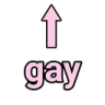 pink_gay custom emote - ノmitsuri