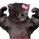 A small gray kitten with a pink bow on its head flexing its muscular human-like arms.