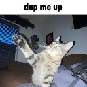 :dapmeup: