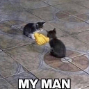 Two kittens on a tiled floor performing a fist bump with a yellow emoji hand and the text My Man below them.