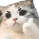 :2071catthumbsup: