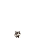 A small cat throws a red brick which then triggers a large fiery explosion.