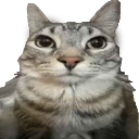 srscar Discord sticker from Latitude.best