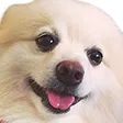bmkShirosmile