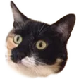 wantmySmudge