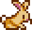 SDVrabbit